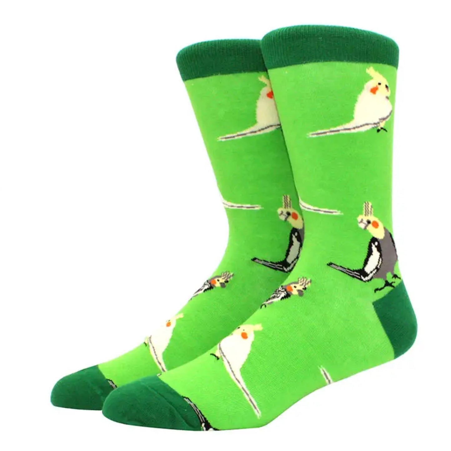 Cockatoo socks