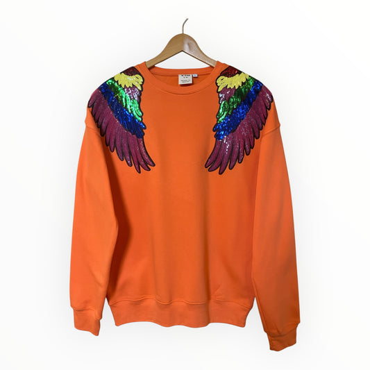 Rainbow Wings Disco Jumper L