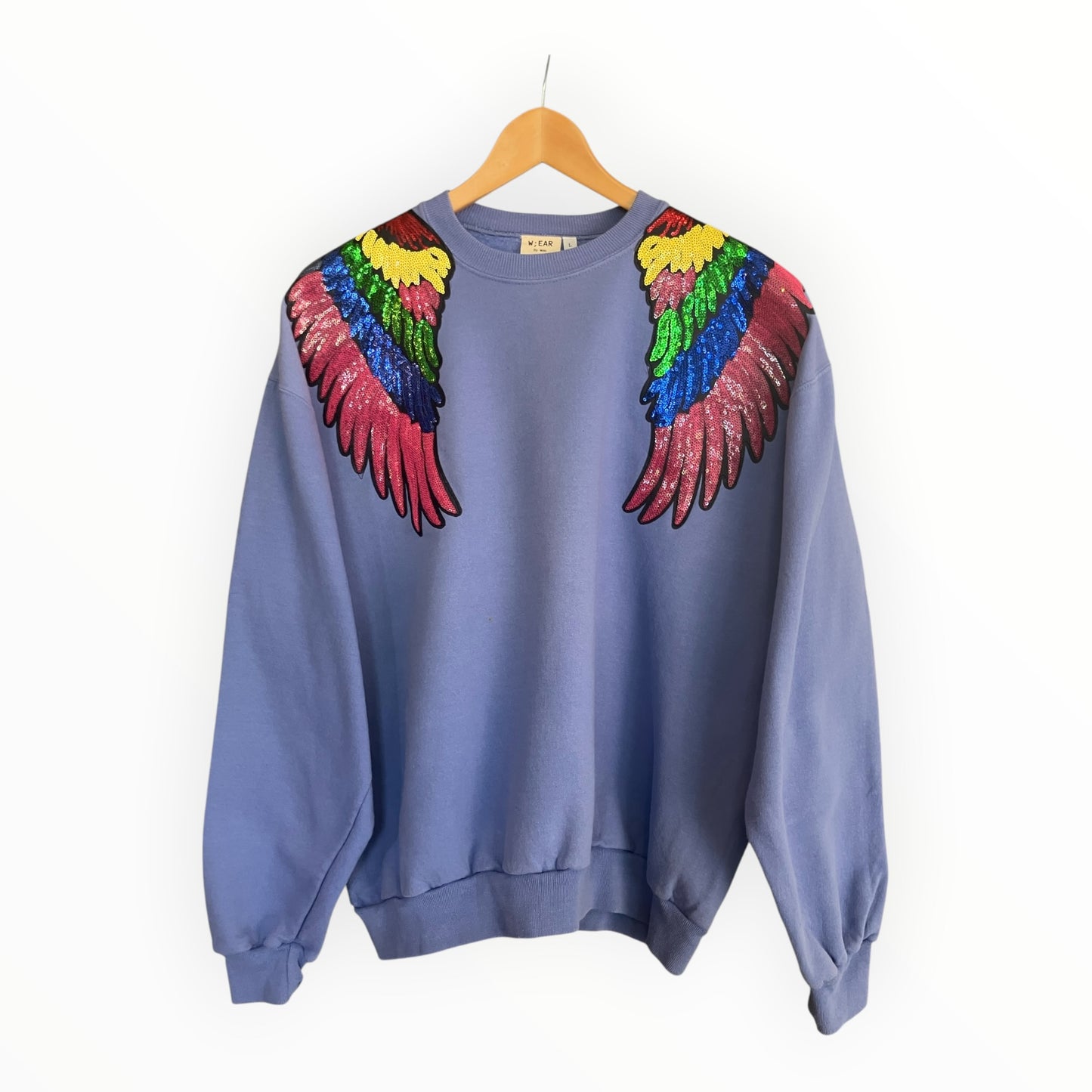 Rainbow Wings Disco Jumper L
