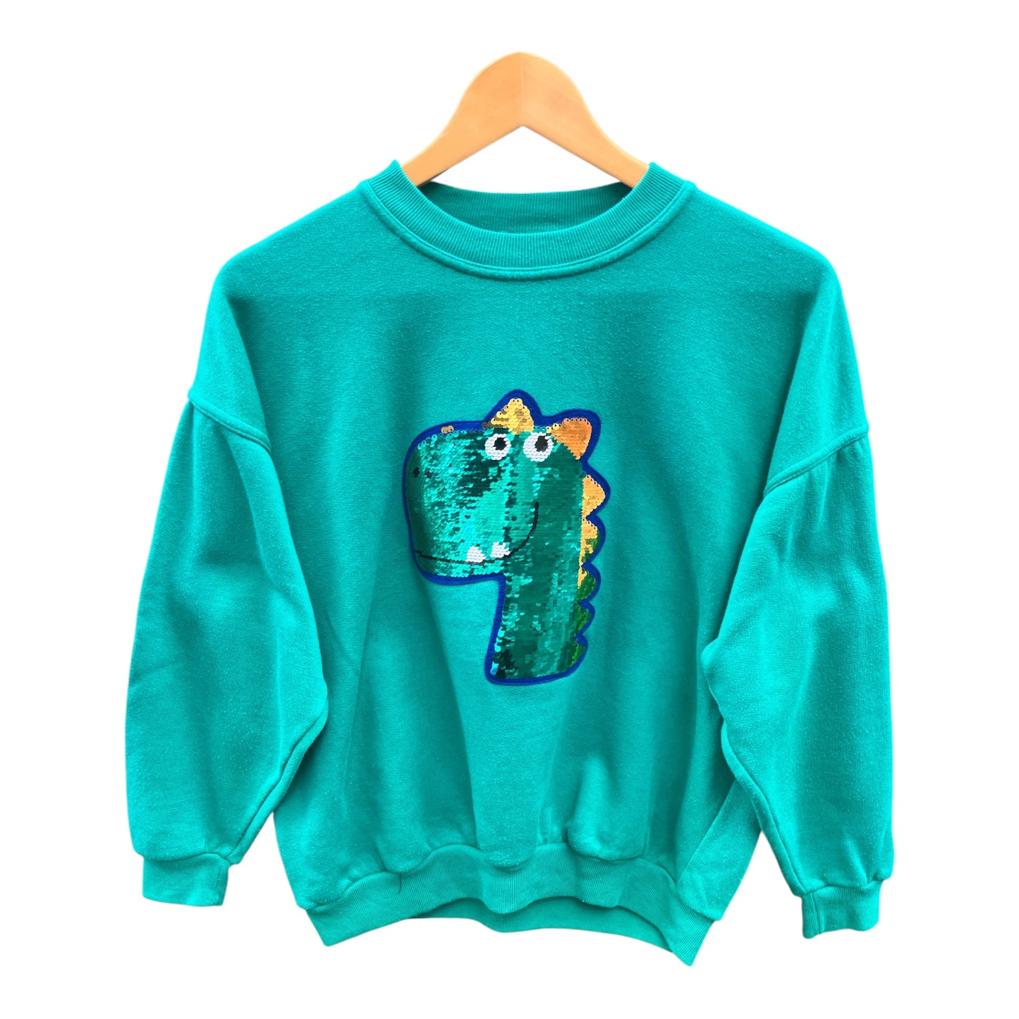 Dinosaur Disco Jumper S