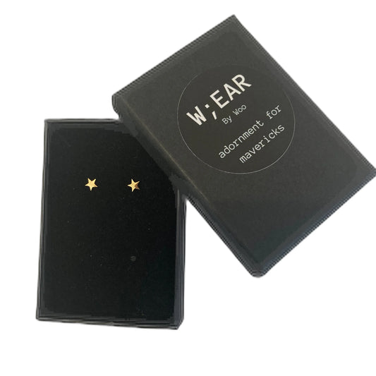 Little star studs